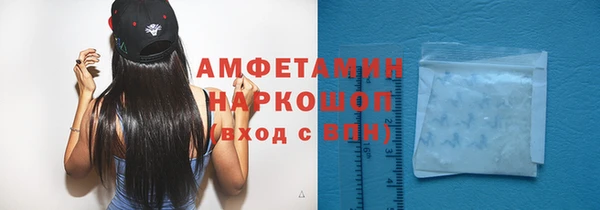 индика Алзамай