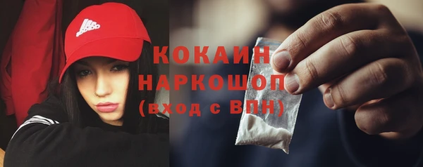 индика Алзамай
