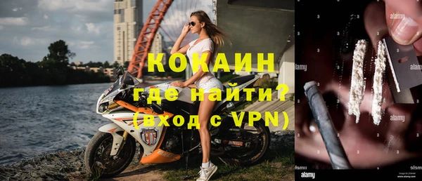 индика Алзамай